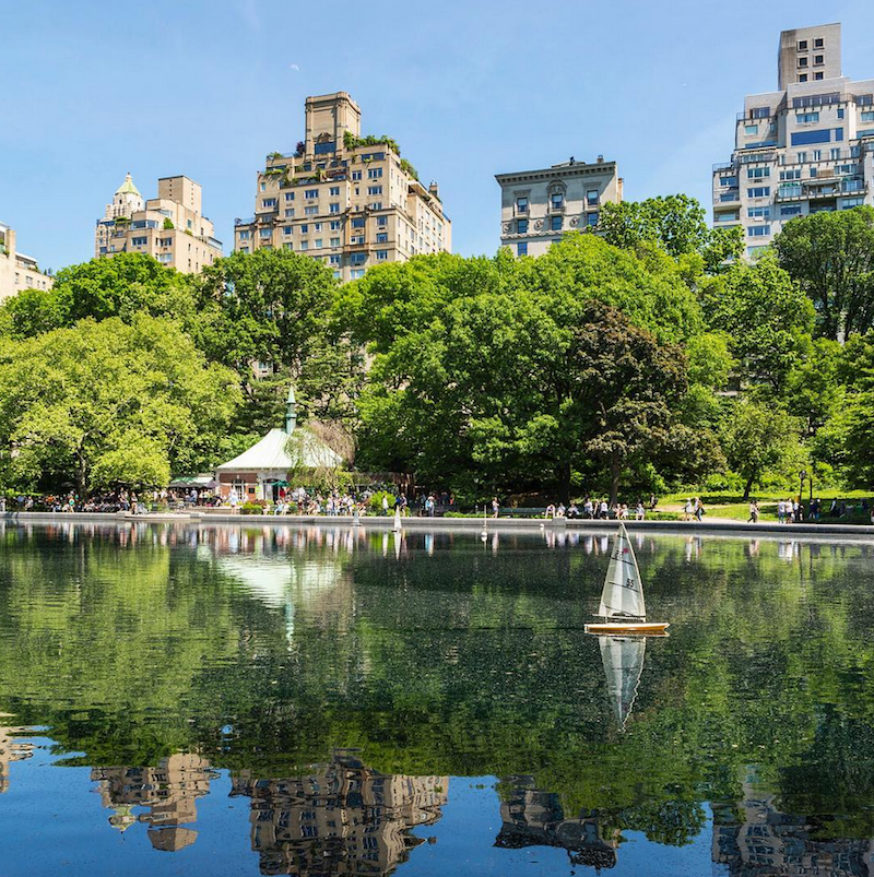 Central Park Nueva York. Uno de los sitios más icónicos de la gran manzana, con vistas espectaculares y muchas actividades para realizar.
