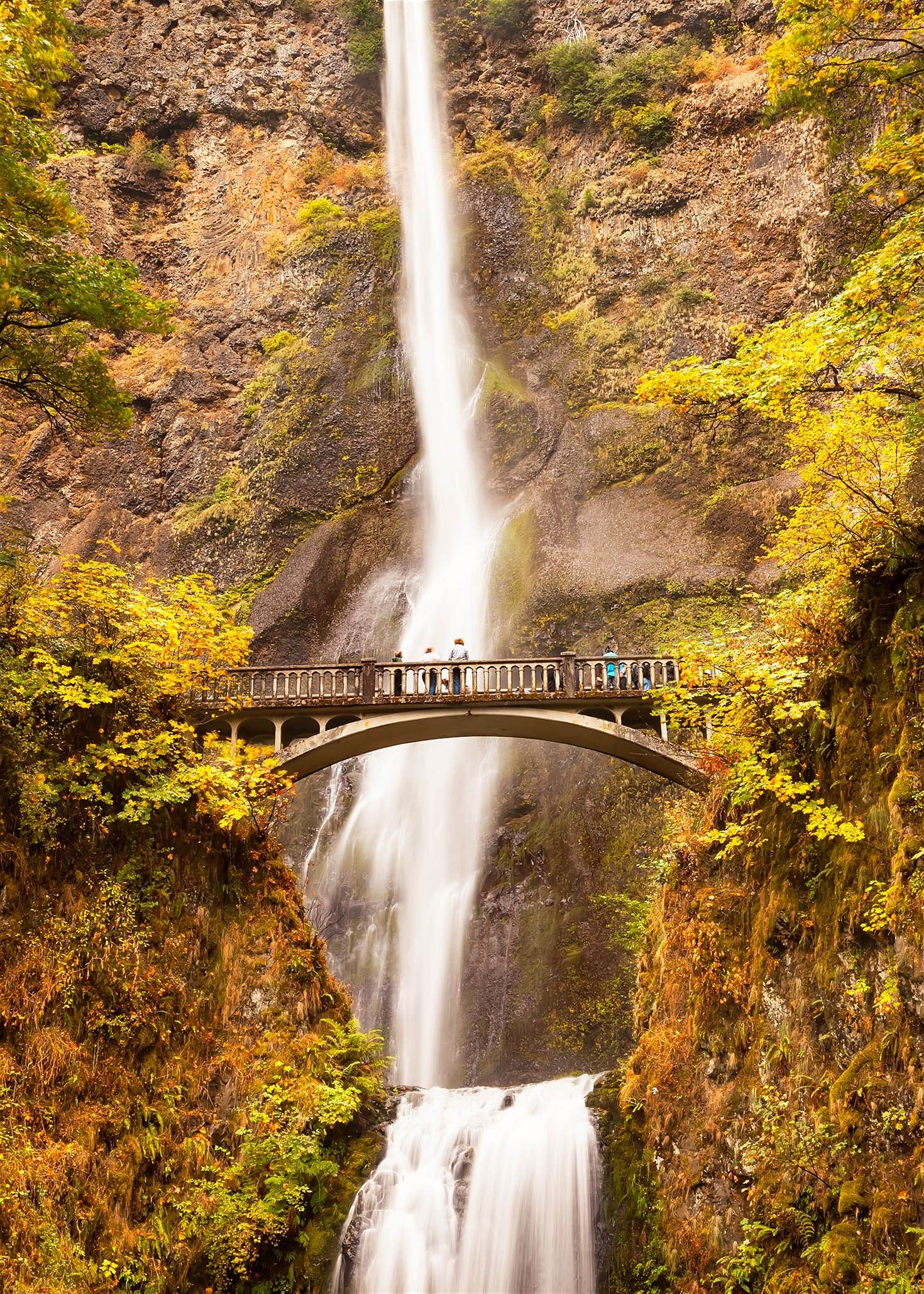 El plus de Columbia River Gorge está en sus ríos y cascadas que acompañado de los colores otoñales son dignos de una postal.