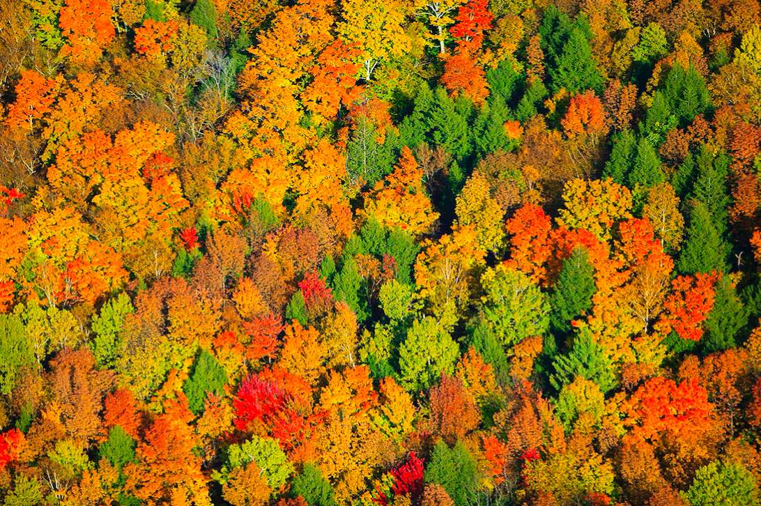 Los tonos anaranjados, cafés y verdes de arces, robles y alisos. Stowe es el lugar perfecto para los que les encanta caminar y andar en bicicleta en otoño