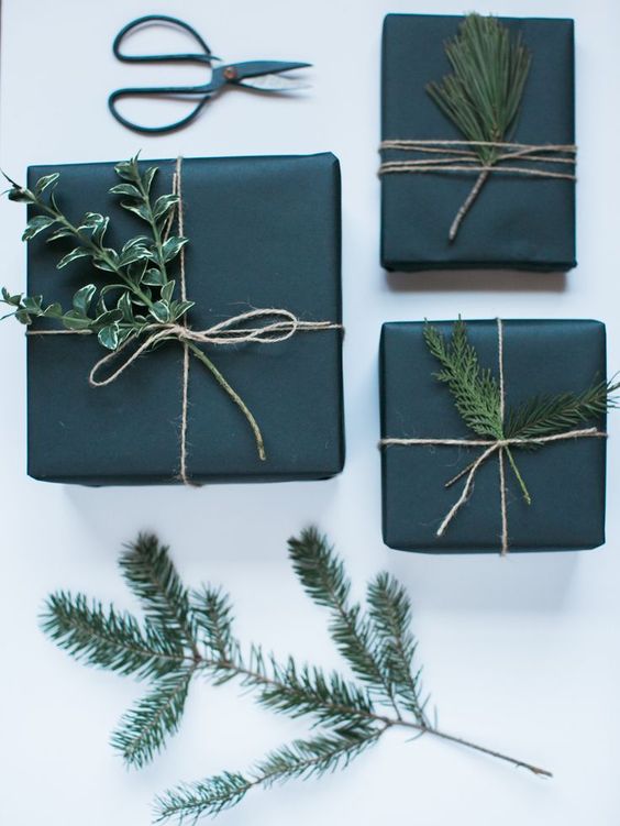 Envoltura con plantas, envoltura DIY, DIY, envoltura fácil y rápida, Ideas para envolver regalos, como envolver regalos, ideas originales para envolver regalos, ideas ecologicas para envolver regalos, regalos de navidad, como envolver tus regalos de navidad, ideas originales para envolver regalos de navidad.